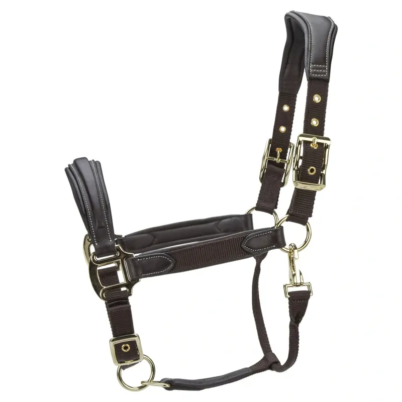 Velociti Lusso Padded Leather Halter - Havana-1