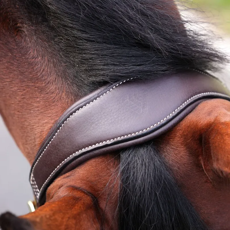Velociti Lusso Padded Leather Halter - Havana-4