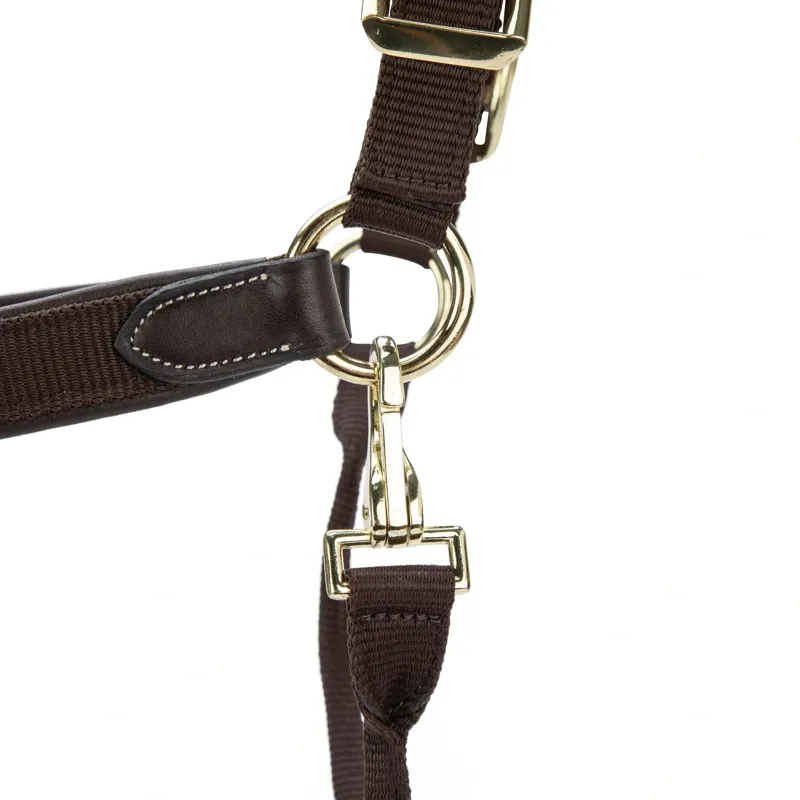 Velociti Lusso Padded Leather Halter - Havana-5
