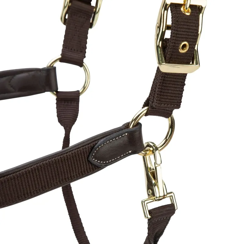 Velociti Lusso Padded Leather Halter - Havana-6