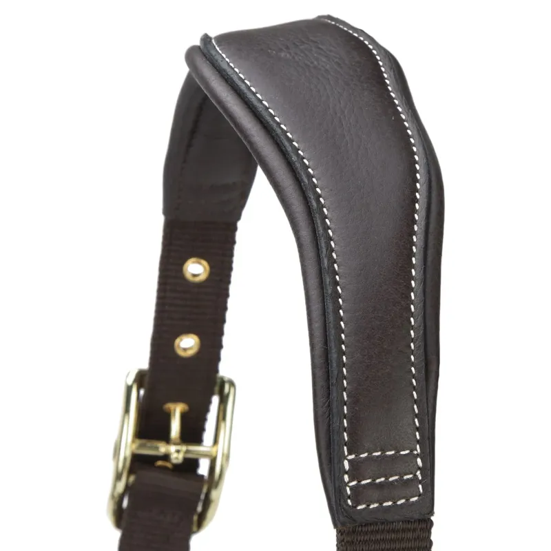 Velociti Lusso Padded Leather Halter - Havana-7