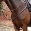 Velociti Lusso Opus Close Contact Breastplate - Brown