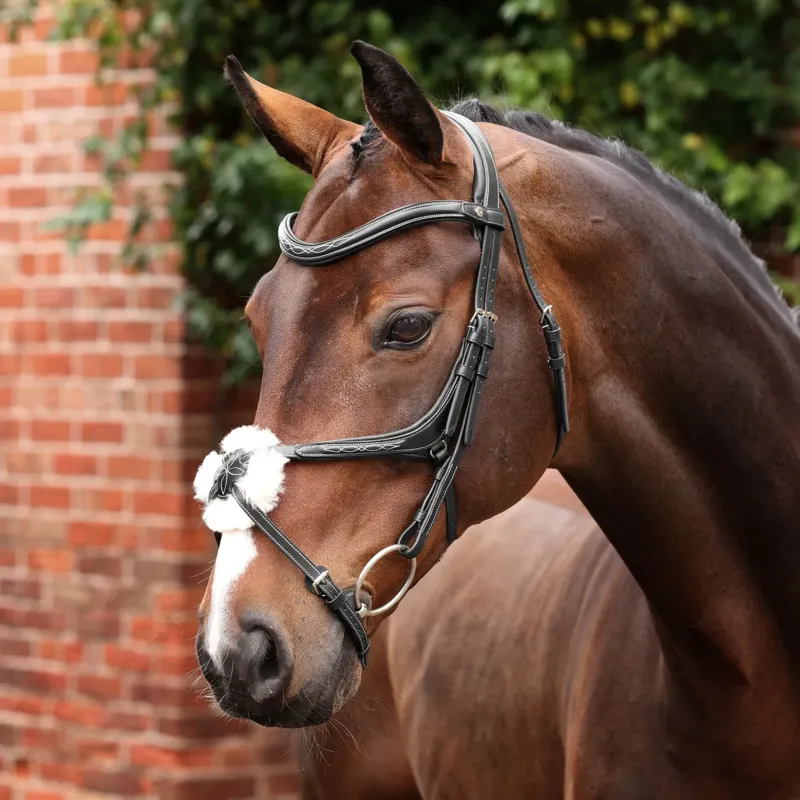 Velociti Lusso Opus 180M Grackle Bridle - Black
