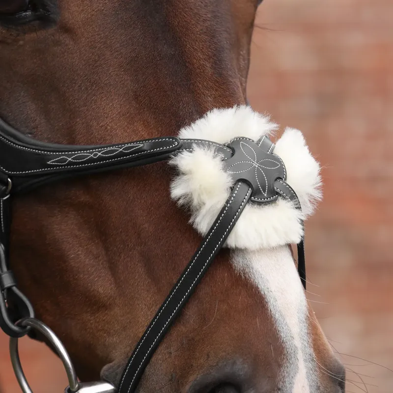 Velociti Lusso Opus 180M Grackle Bridle - Black-2