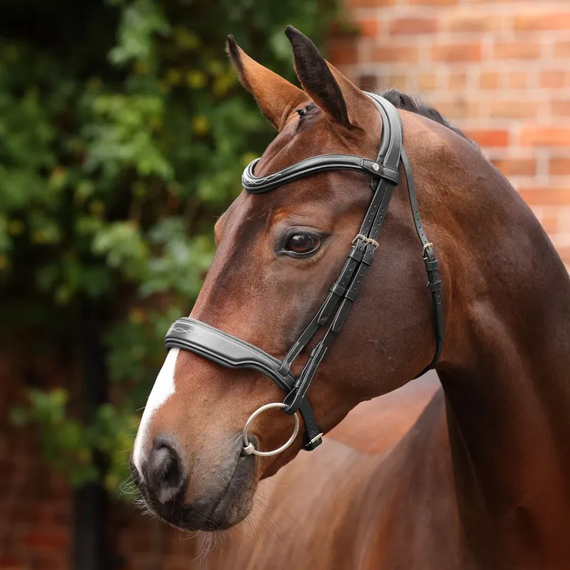 Velociti Lusso Opus 180M Dressage Cavesson Bridle - Black