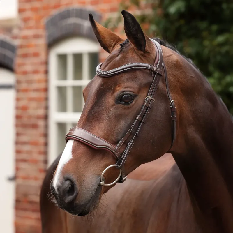 Velociti Lusso Opus 180M Dressage Cavesson Bridle - Havana