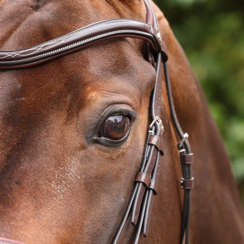 Velociti Lusso Opus 180M Dressage Cavesson Bridle - Havana-6