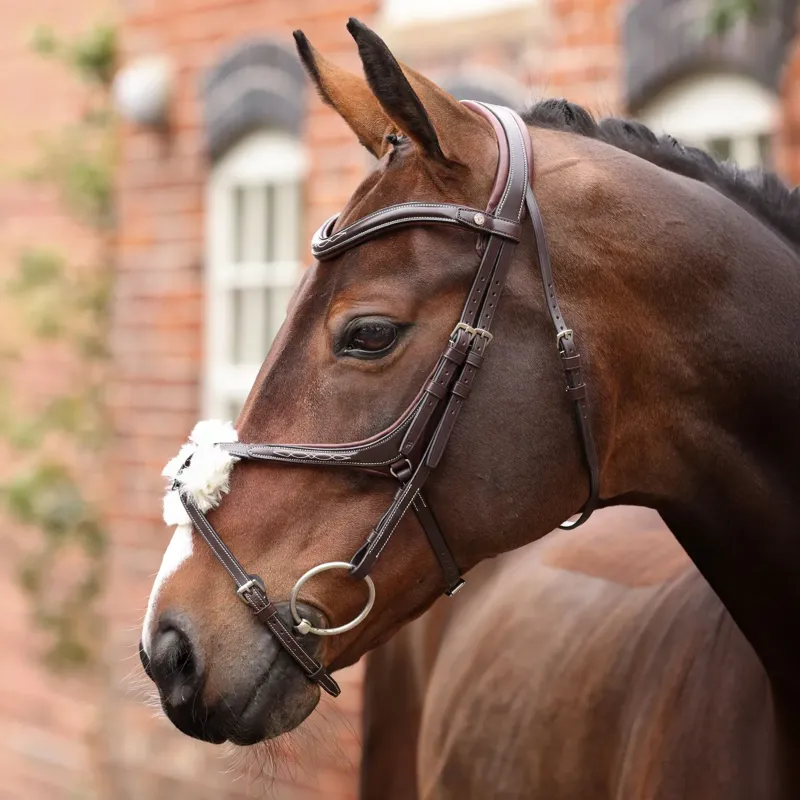 Velociti Lusso Opus 180M Grackle Bridle - Havana