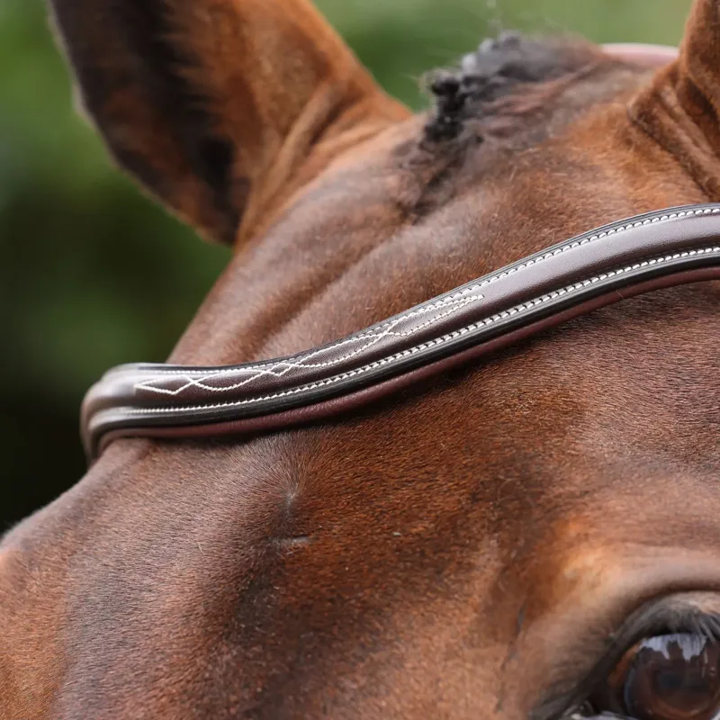 Velociti Lusso Opus 180M Grackle Bridle - Havana-5