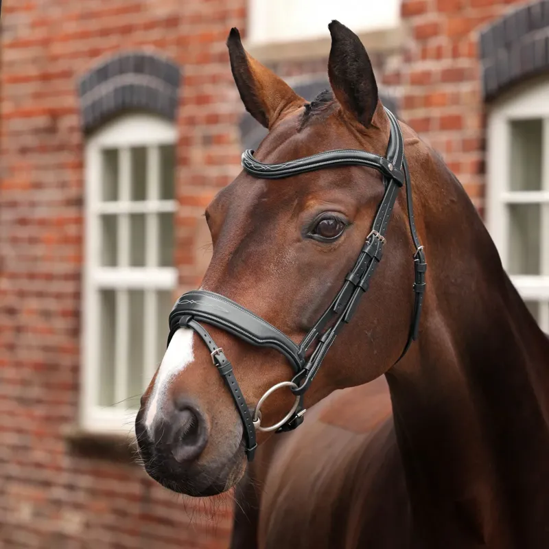 Velociti Lusso Opus 180M Dressage Flash Bridle - Black