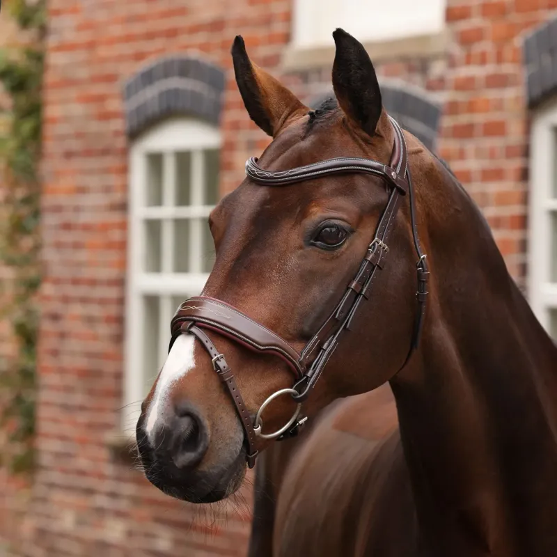 Velociti Lusso Opus 180M Dressage Flash Bridle - Havana