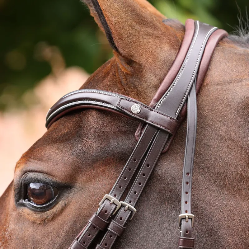 Velociti Lusso Opus 180M Dressage Flash Bridle - Havana-9