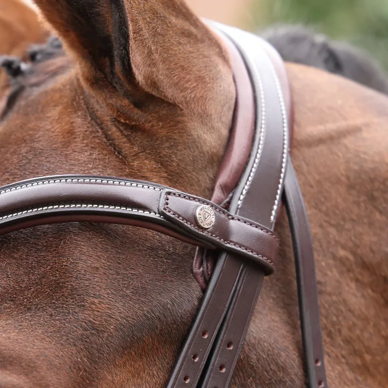 Velociti Lusso Opus 180M Dressage Flash Bridle - Havana-3