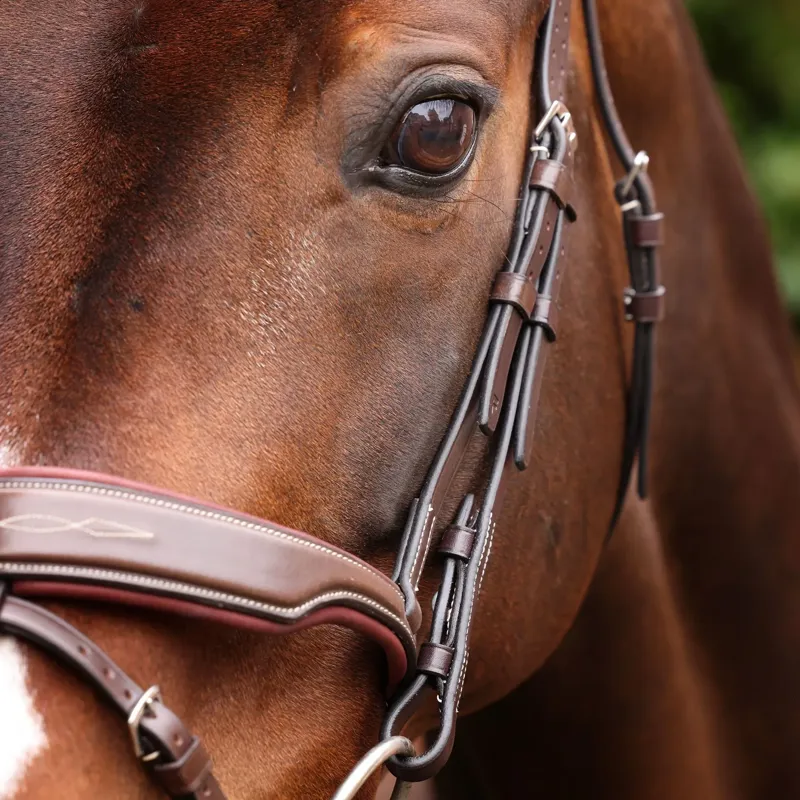 Velociti Lusso Opus 180M Dressage Flash Bridle - Havana-6