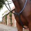 Velociti Lusso Opus Elastic Breastplate - Black