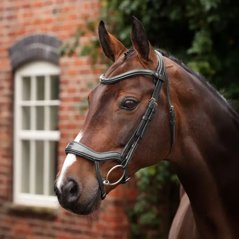 Velociti Lusso Opus 180M Ergonomic Dressage Flash Bridle - Black