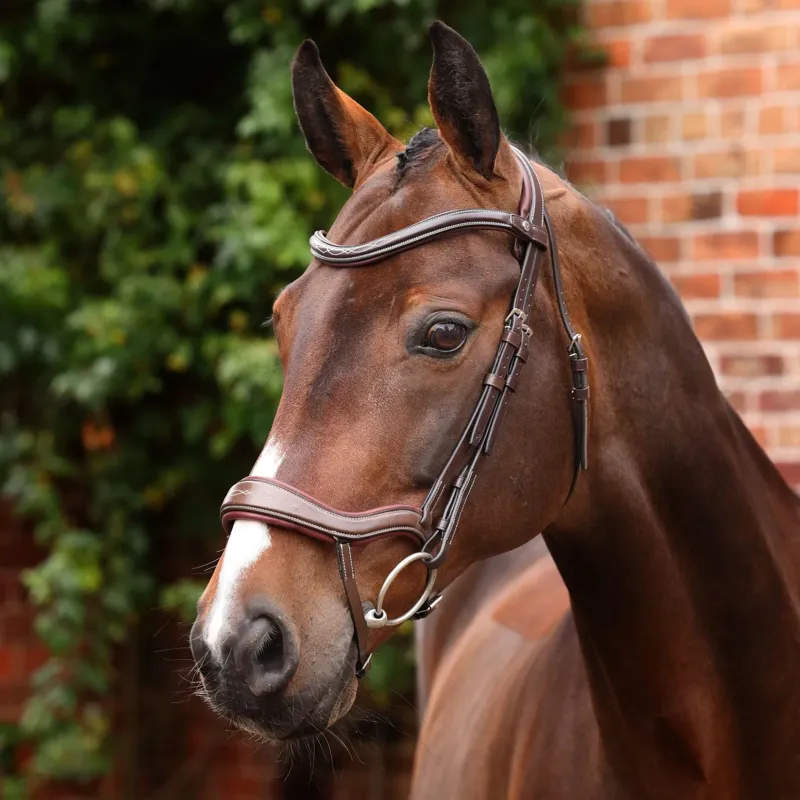 Velociti LUSSO Opus 180M Ergonomic Dressage Flash Bridle - Havana
