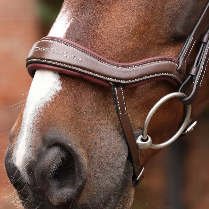 Velociti LUSSO Opus 180M Ergonomic Dressage Flash Bridle - Havana-4