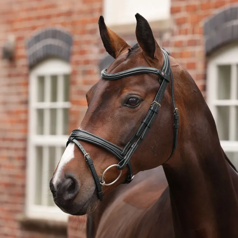 Velociti Lusso Opus 180M Padded Flash Bridle - Black