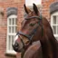 Velociti Lusso Opus 180M Padded Flash Bridle - Black