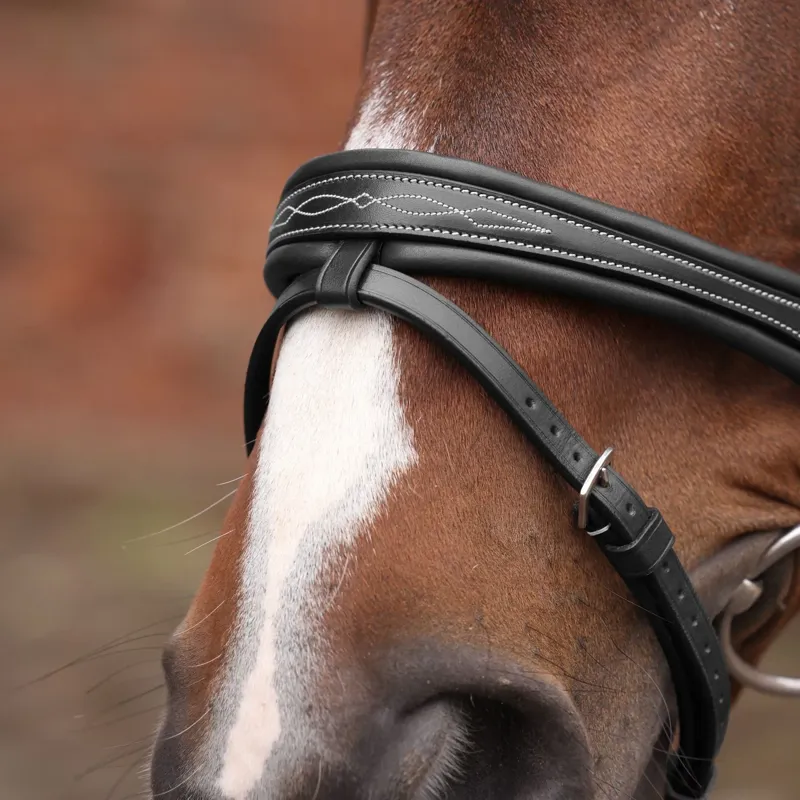 Velociti Lusso Opus 180M Padded Flash Bridle - Black-4