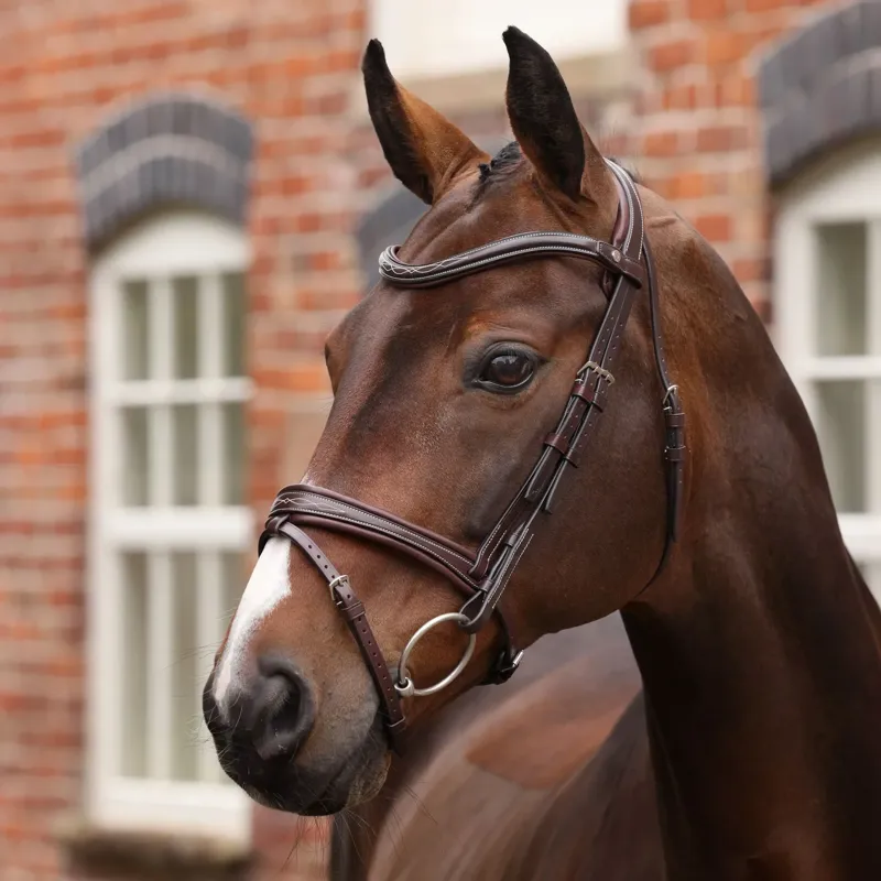 Velociti Lusso Opus 180M Padded Flash Bridle - Brown
