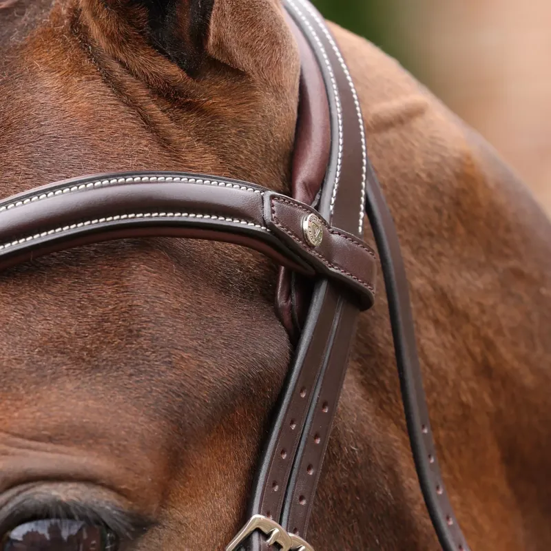 Velociti Lusso Opus 180M Padded Flash Bridle - Brown-6