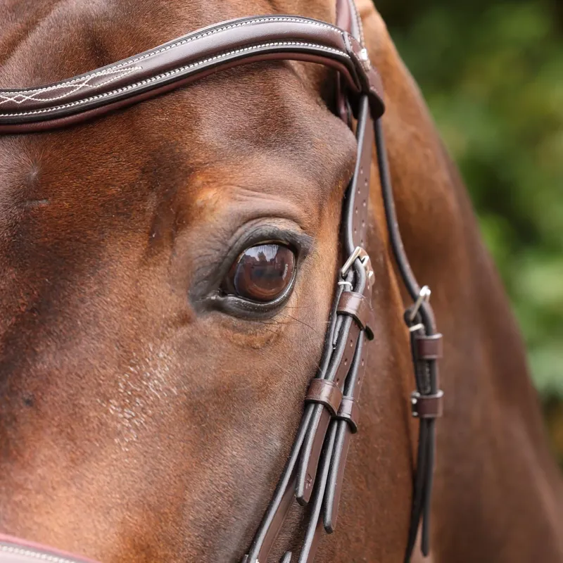 Velociti Lusso Opus 180M Padded Flash Bridle - Brown-7