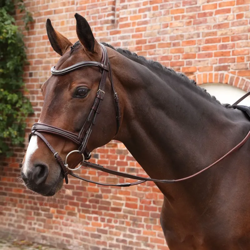 Velociti Lusso Opus Pro SureGrip Rubber Reins - Havana-2