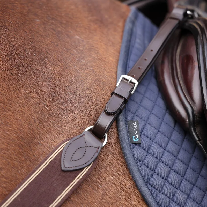 Velociti Rapida Elastic Breastplate - Havana-10