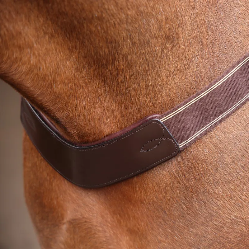 Velociti Rapida Elastic Breastplate - Havana-5