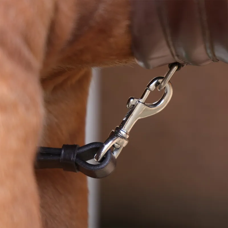 Velociti Rapida Elastic Breastplate - Havana-9