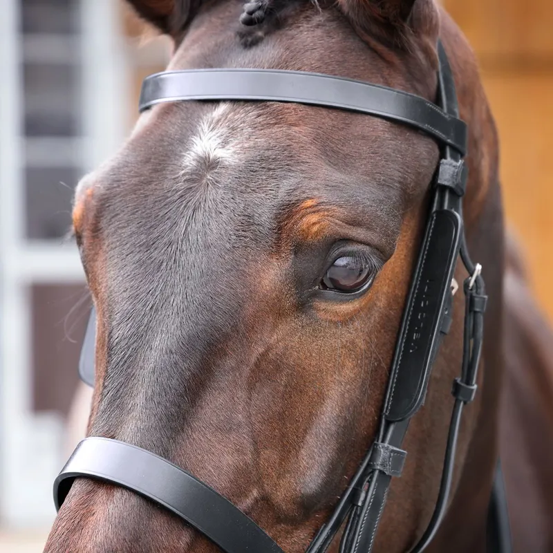 Velociti GARA Leather Blinkers - Black-1