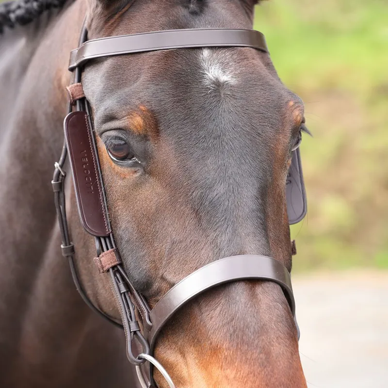 Velociti GARA Leather Blinkers - Havana-1