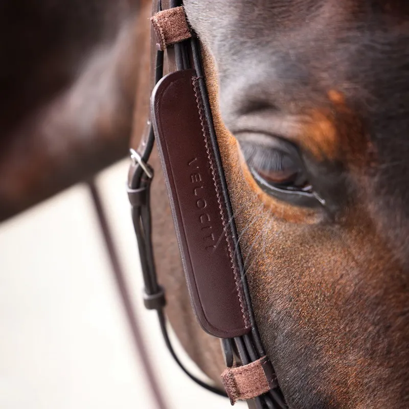 Velociti GARA Leather Blinkers - Havana-2