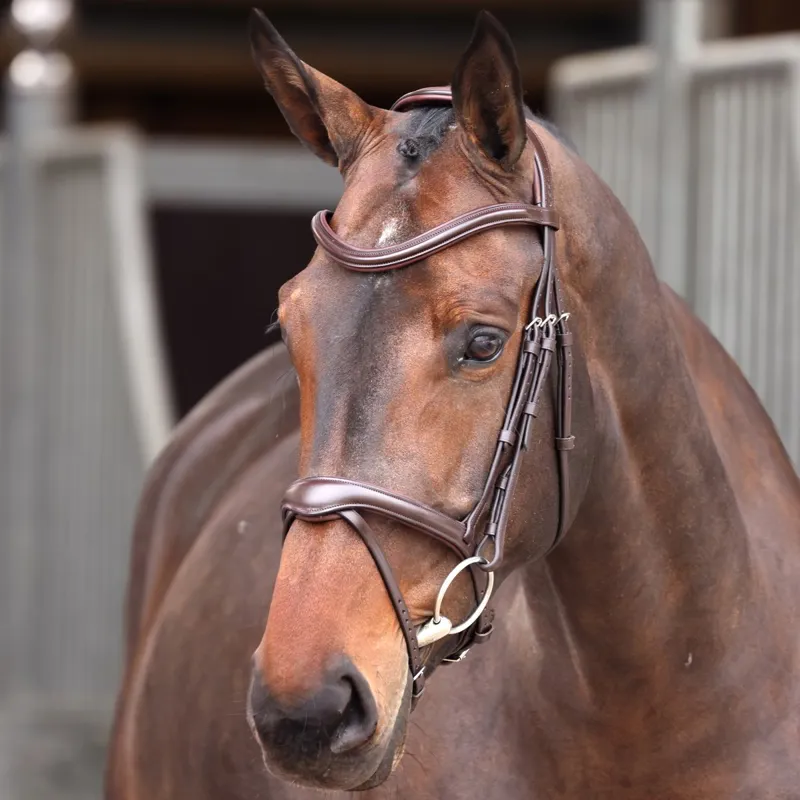 Velociti Lusso Elite Flash Bridle - Havana