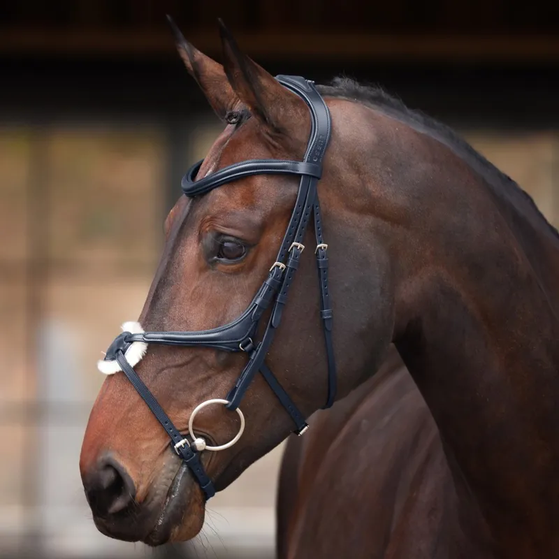 Velociti Lusso Elite Grackle Bridle - Black