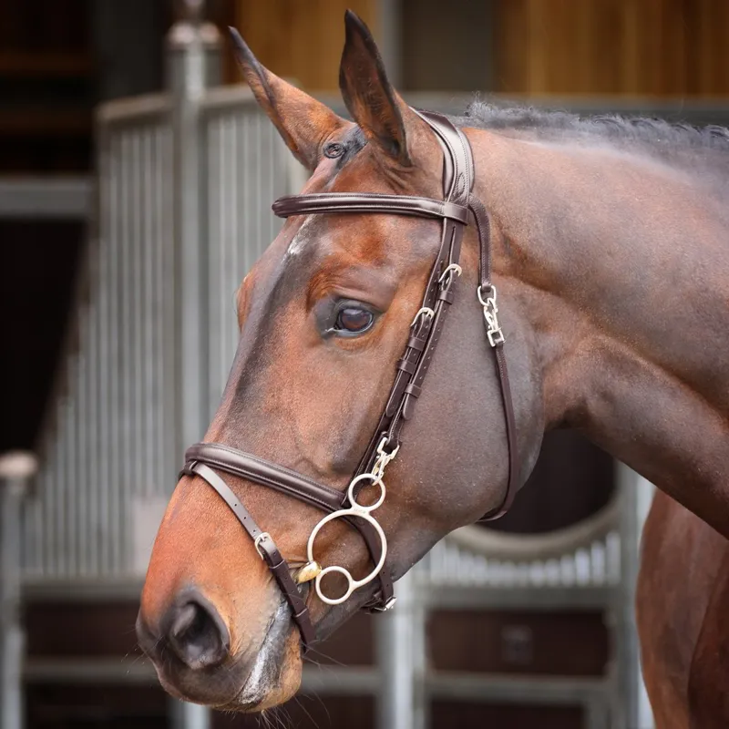 Velociti RAPIDA Training Bridle - Havana