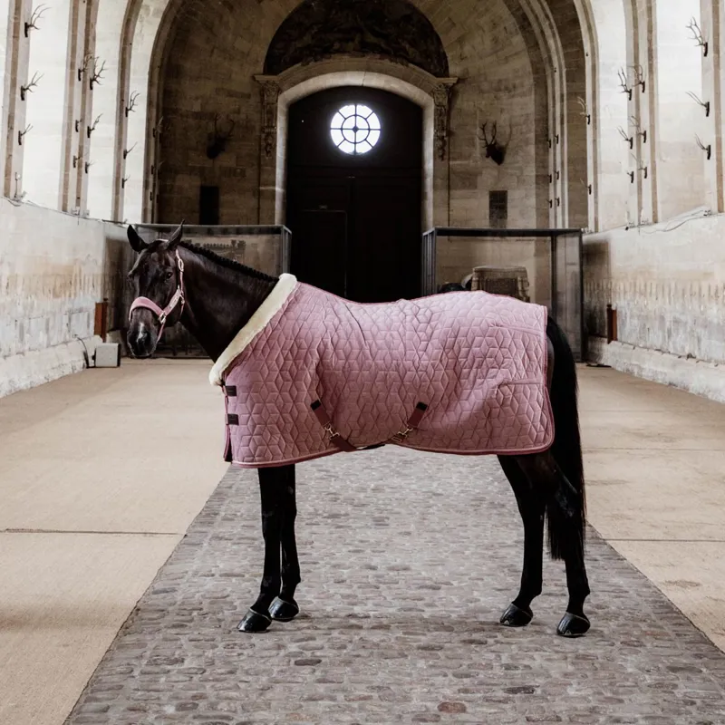Kentucky Velvet Show Rug - Old Rose-10