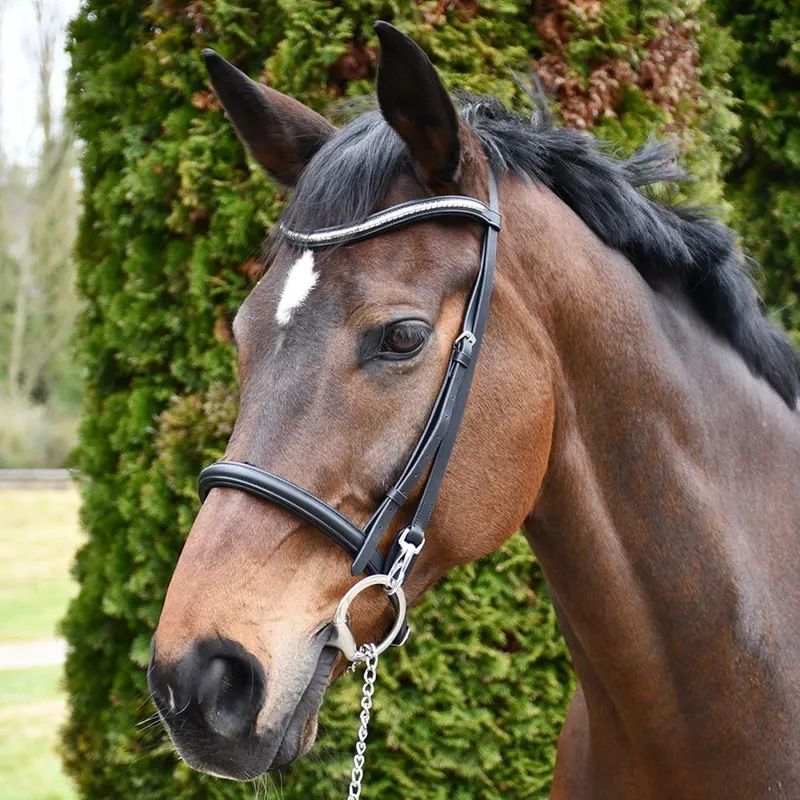 Rhinegold Veneto Leather Show Bridle with Clincher Browband - Black