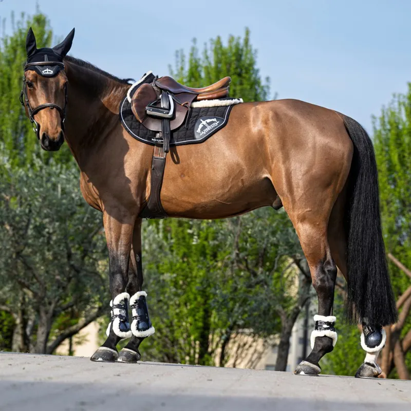Veredus Carbon Gel Absolute Save The Sheep Tendon Boots - Black-3
