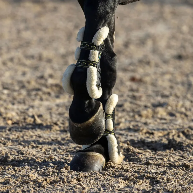 Veredus Kevlar Vento Save The Sheep Front Tendon Boots - Black-2
