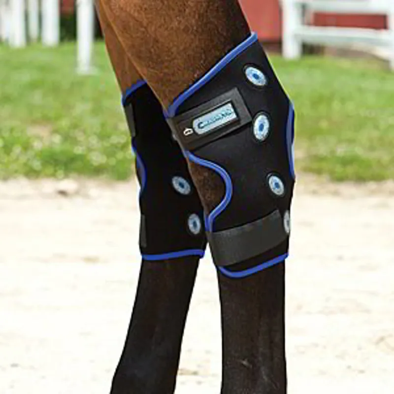 Veredus Magnetik Hock Boot Magnetic Therapy - Black/Blue-2