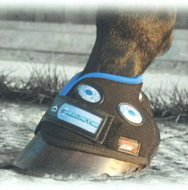Veredus Magnetik Hoof Boot Magnetic Therapy - Black/Blue-2