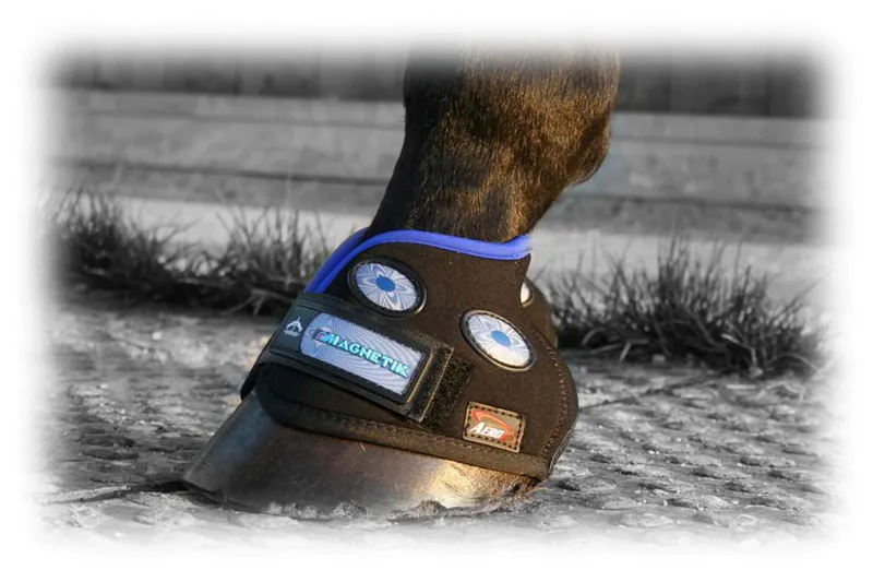 Veredus Magnetik Hoof Boot Magnetic Therapy - Black/Blue-3