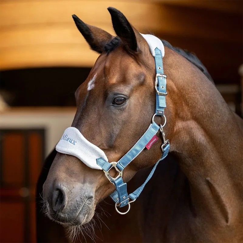 LeMieux Vogue Halter and Lead Rope Set - Ice Blue-1
