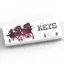 Vivid Squid Medium Key Panel Keys