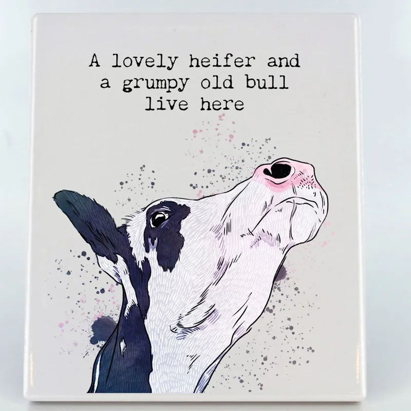 Vivid Squid Photo Panel - Grumpy Old Bull-4