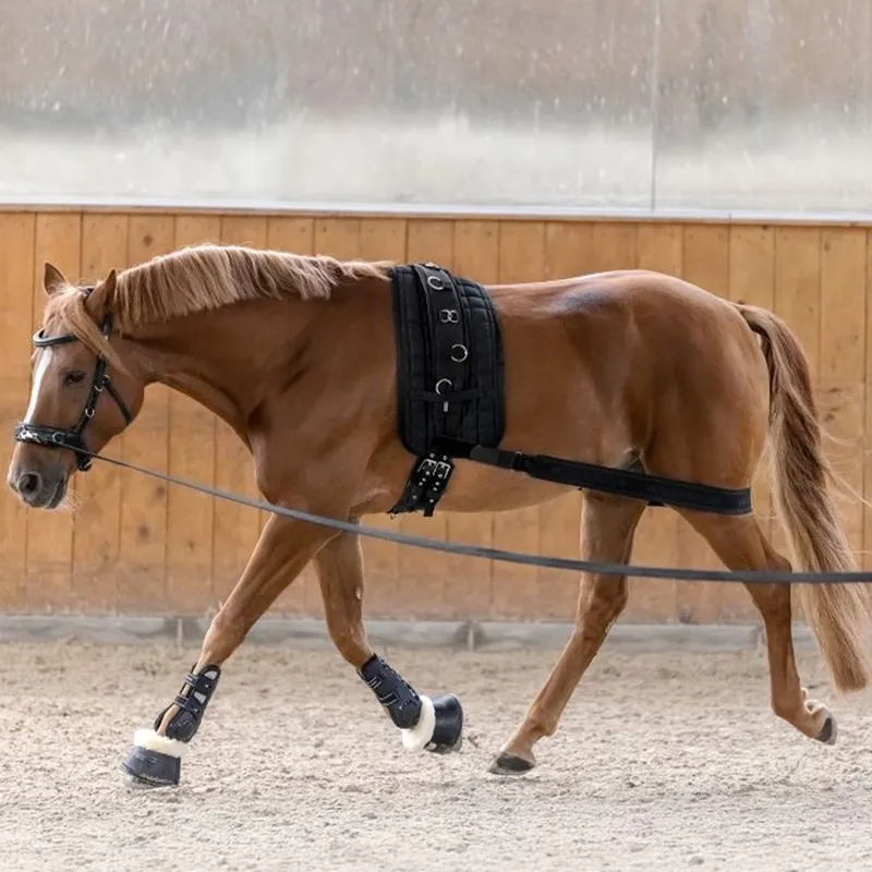 Waldhausen Horse Body Bandage - Black