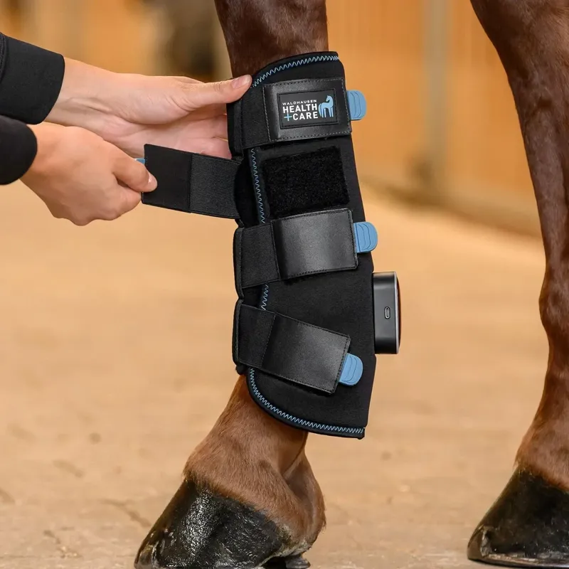 Waldhausen Health + Care TecSupreme Tendon Stable Boot - Black-2